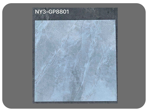 Gạch Viglacera Kt 80x80 Granite GP8801